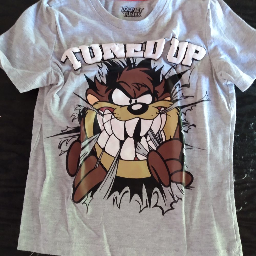 Boys Looney Tunes Taz T-shirt size 4/5 pre-owned